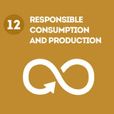 UN Sustainable Development Goal 12 Responsible Consumption and production