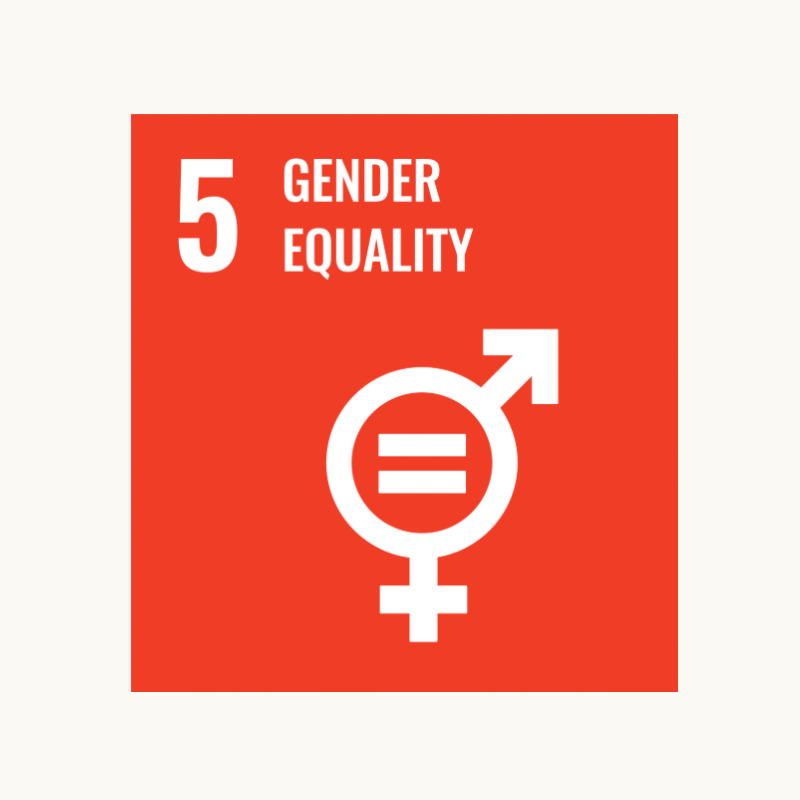 United Nations SDG number 5 Gender Equality icon 