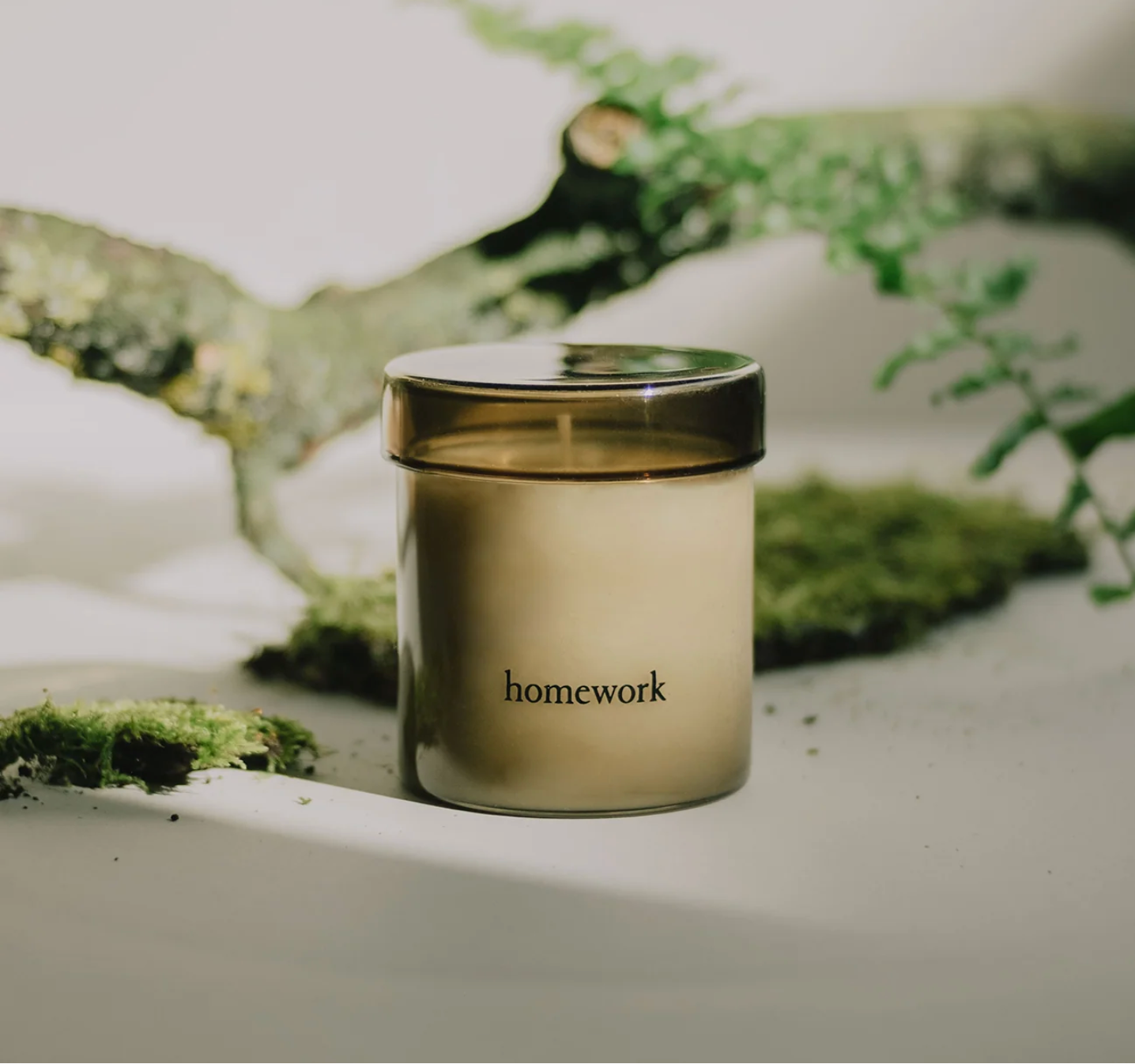 Vegan candle inspired by the wood element, suitable for wellness corporate gifting