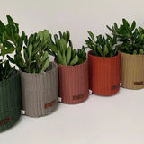 Upcycled Mini Planter