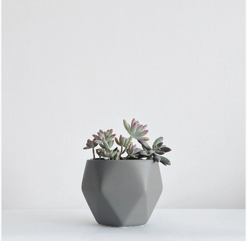 Small ceramic planter for clients and employee gifts