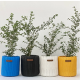 Upcycled mini planters in assorted colours  for eco corporate gifts