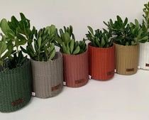 Colourful upcycled mini planters for sustainable event giveaways and client gifts