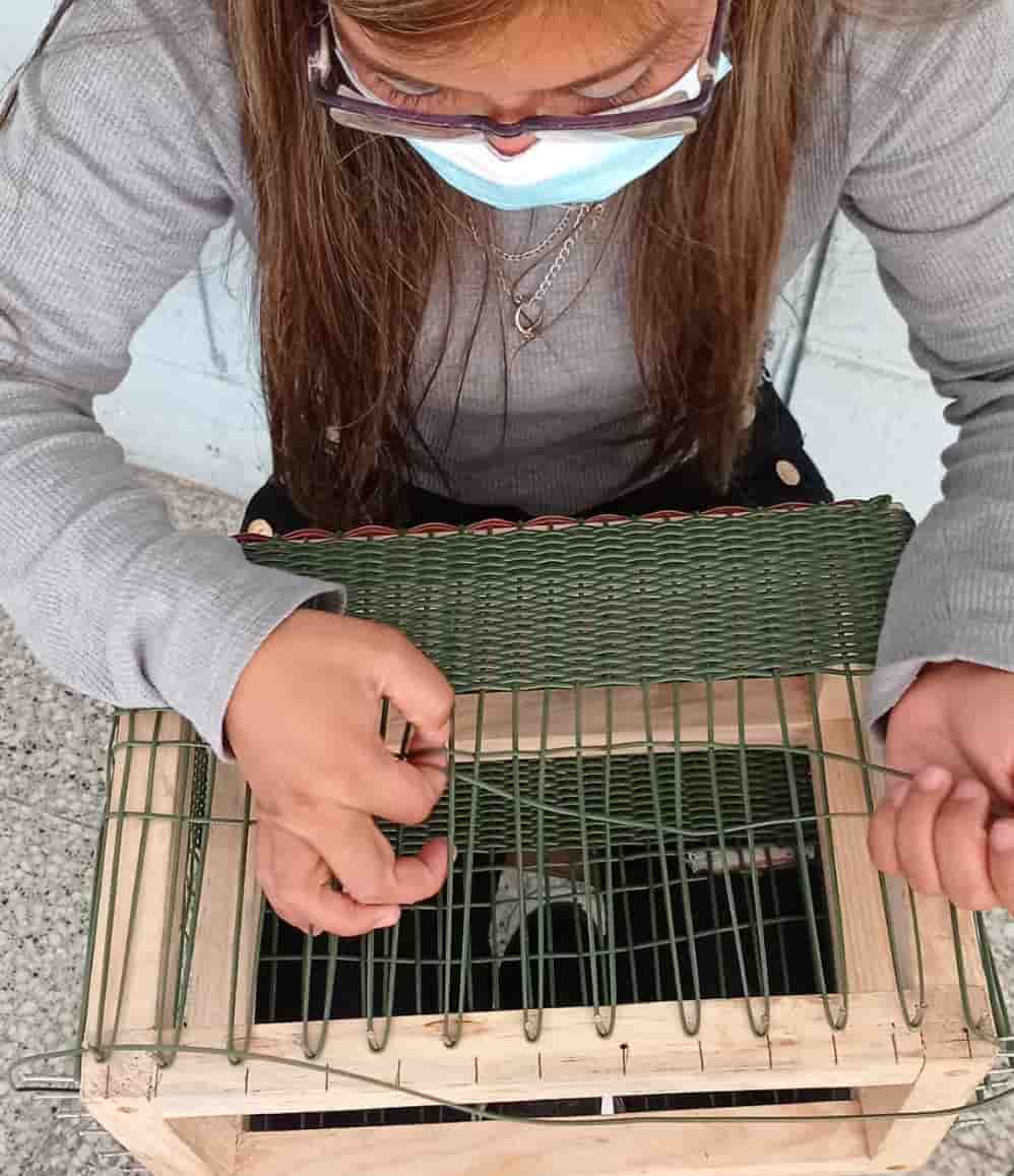 Woman artisan in Guatemala handweaving the upcycled desk organiser