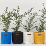 upcycled office planters, premium corporate gift for client gifting and employee appreciation